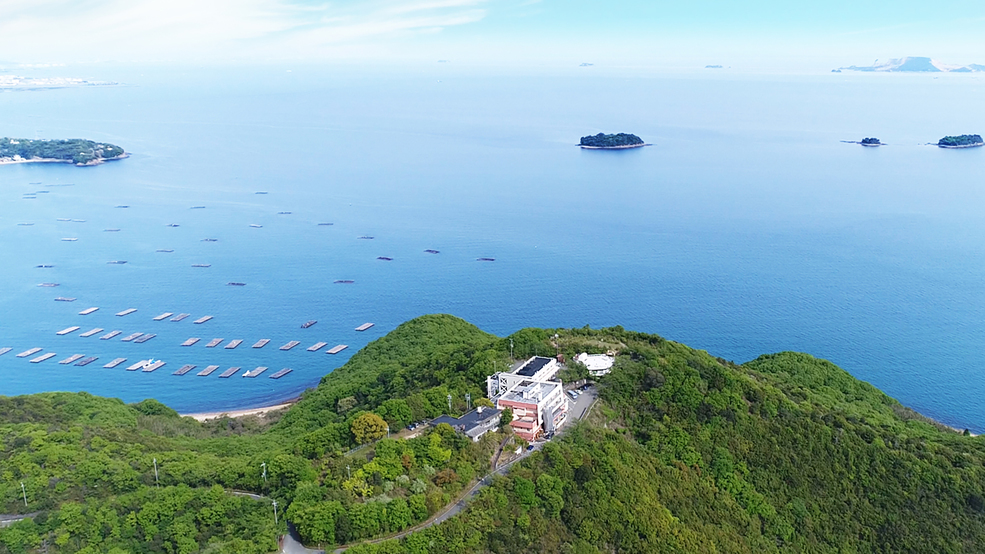 人気No.1・料理長おすすめ【旬の極み会席】ふぐやかに、甘鯛、鮑、相生産牡蠣を堪能＜11/19〜＞