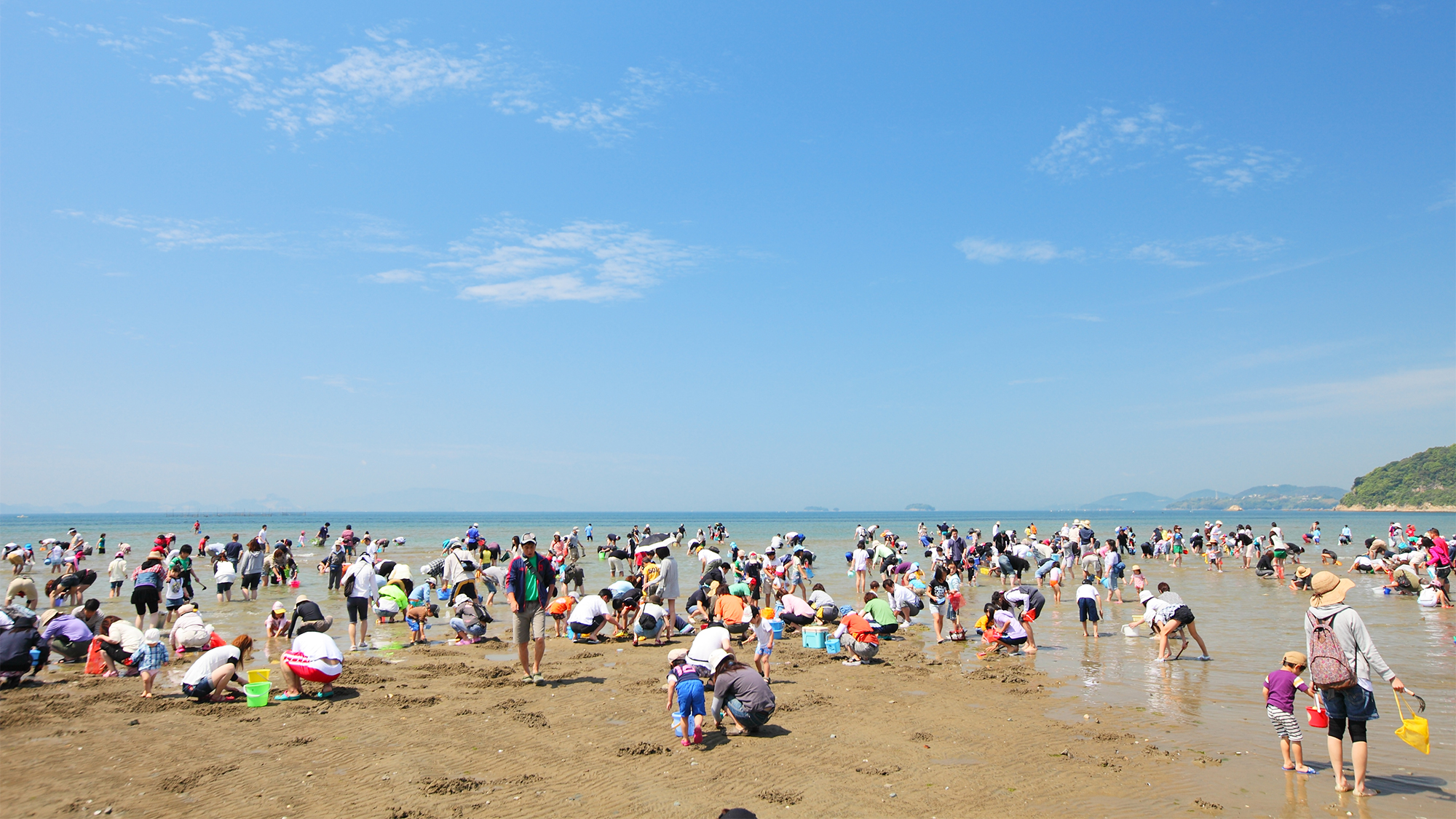 人気の遠浅の海岸「新舞子」4～6月は潮干狩りシーズンです（車で約30分）