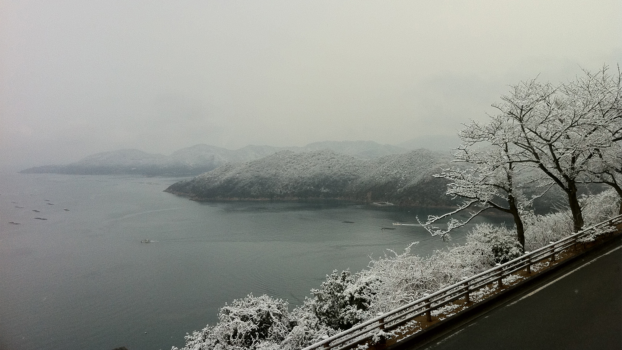 数年に一度、万葉の冬景色