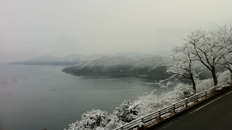 数年に一度、万葉の冬景色