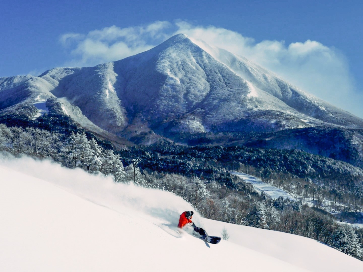 【リフト券付／夕食ビュッフェ】ネコマ マウンテン☆スキーも！ボードも！温泉で冬満喫♪