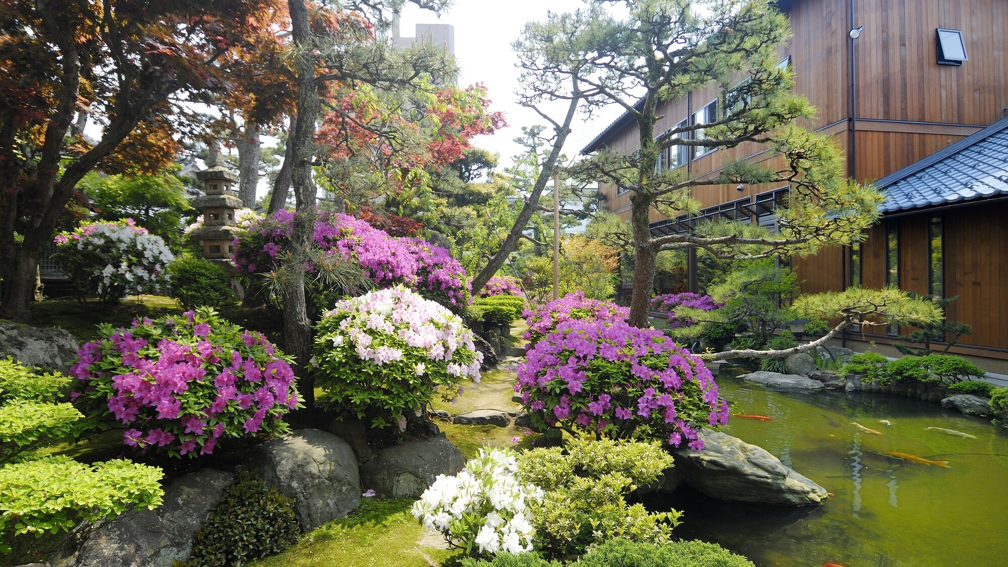 【庭園】＜ツツジ＞