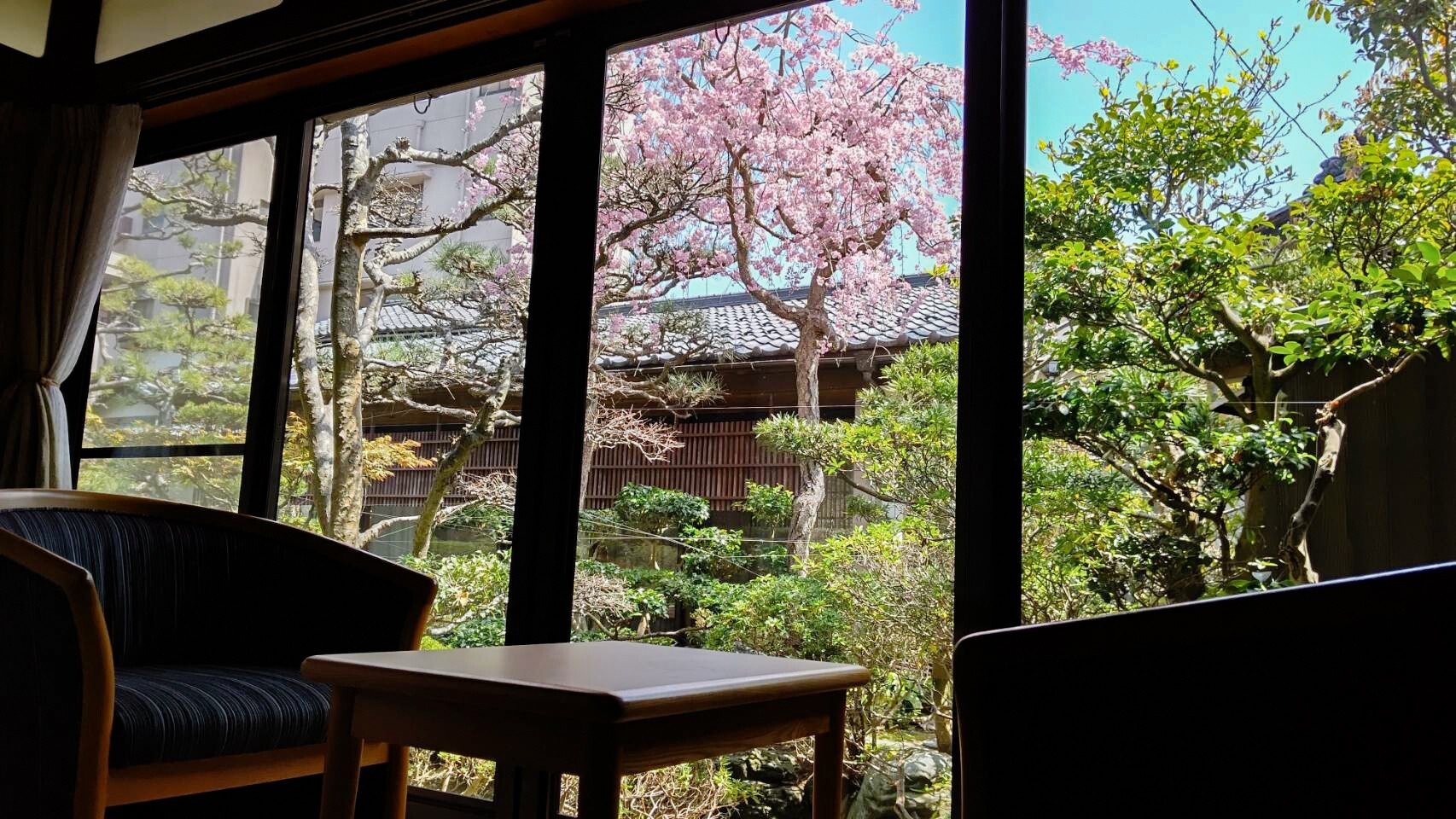 【庭園】＜桜＞