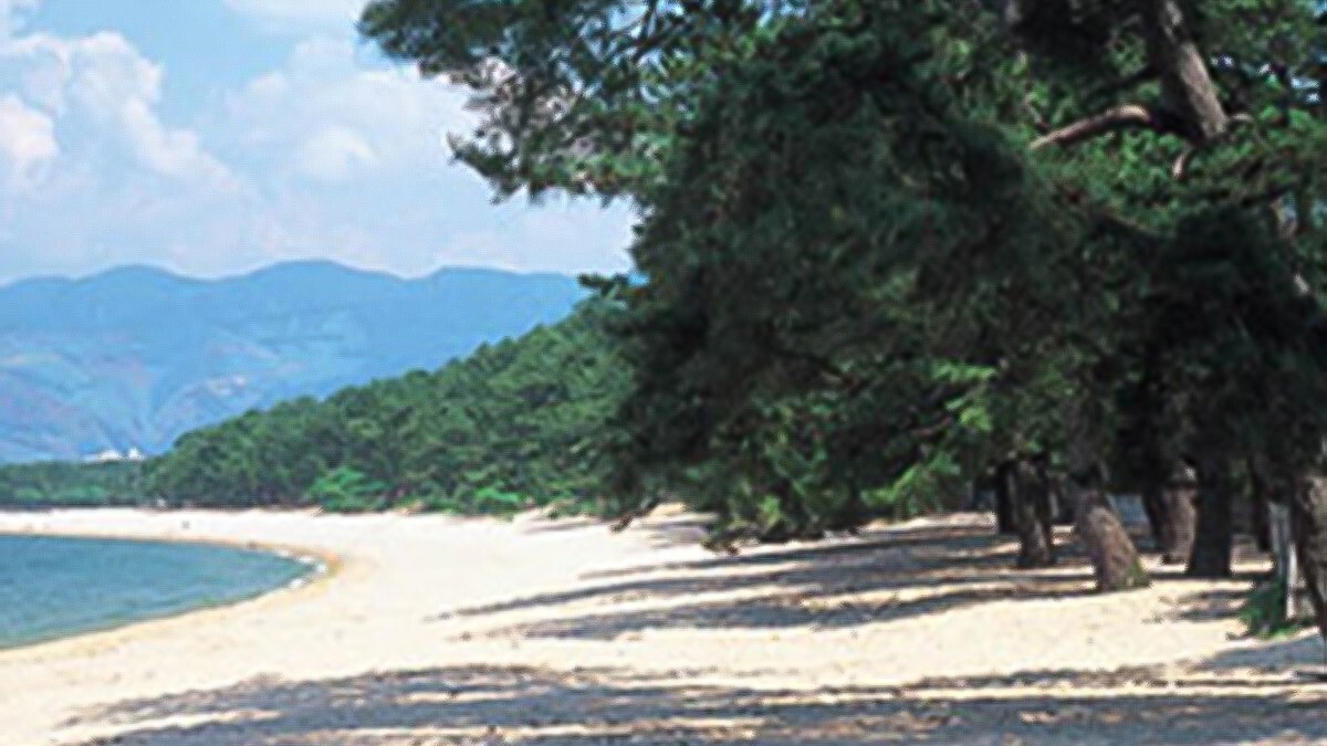 【周辺観光】気比の松原