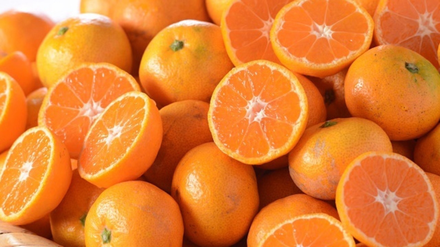 愛媛といえば柑橘王国　フルーツビュッフェ