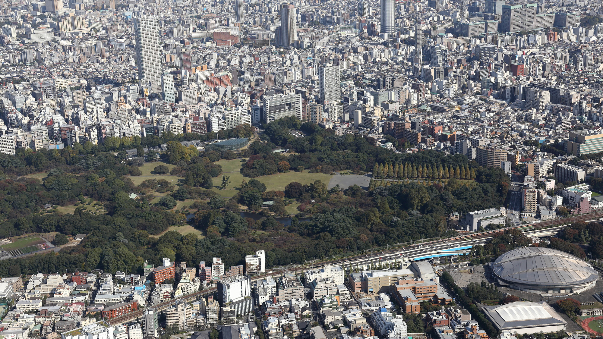 【観光】新宿御苑