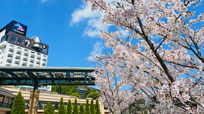 【ぎふの食材！下呂の四季！】岐阜県産のブランド牛＆ブランド豚！桜・プール・紅葉・イルミネーション！