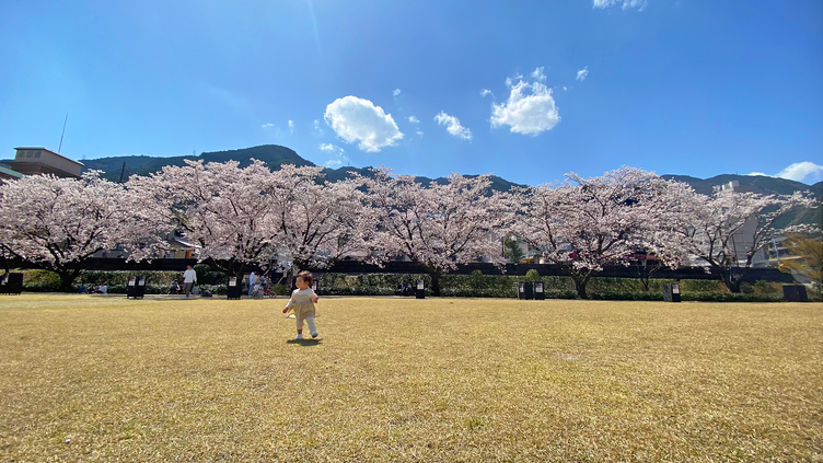 4月【モーニングホテルビュッフェ】春の桜と温泉街散策の旅！朝食＋特典付き＋イルミネーションショー開催