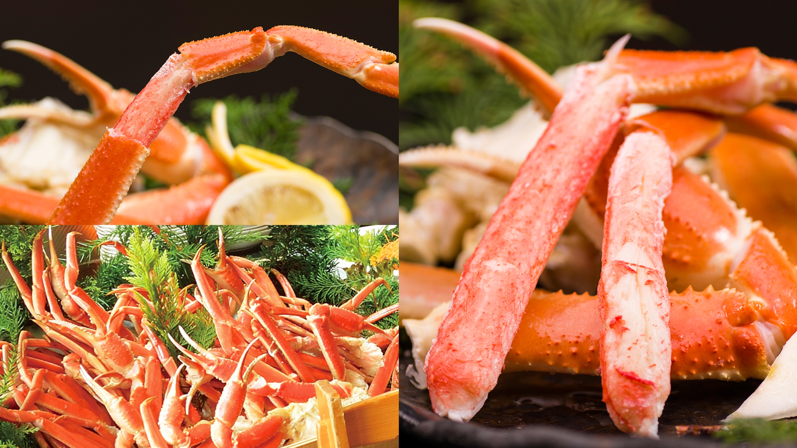 カニ食べ放題 カニ旅行に人気のホテル 旅館厳選19 だれどこ カニ食べ放題 カニ旅行に人気のホテル 旅館厳選19 だれどこ