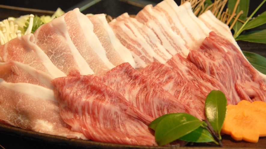 【食事】飛騨牛と岐阜県産豚　イメージ