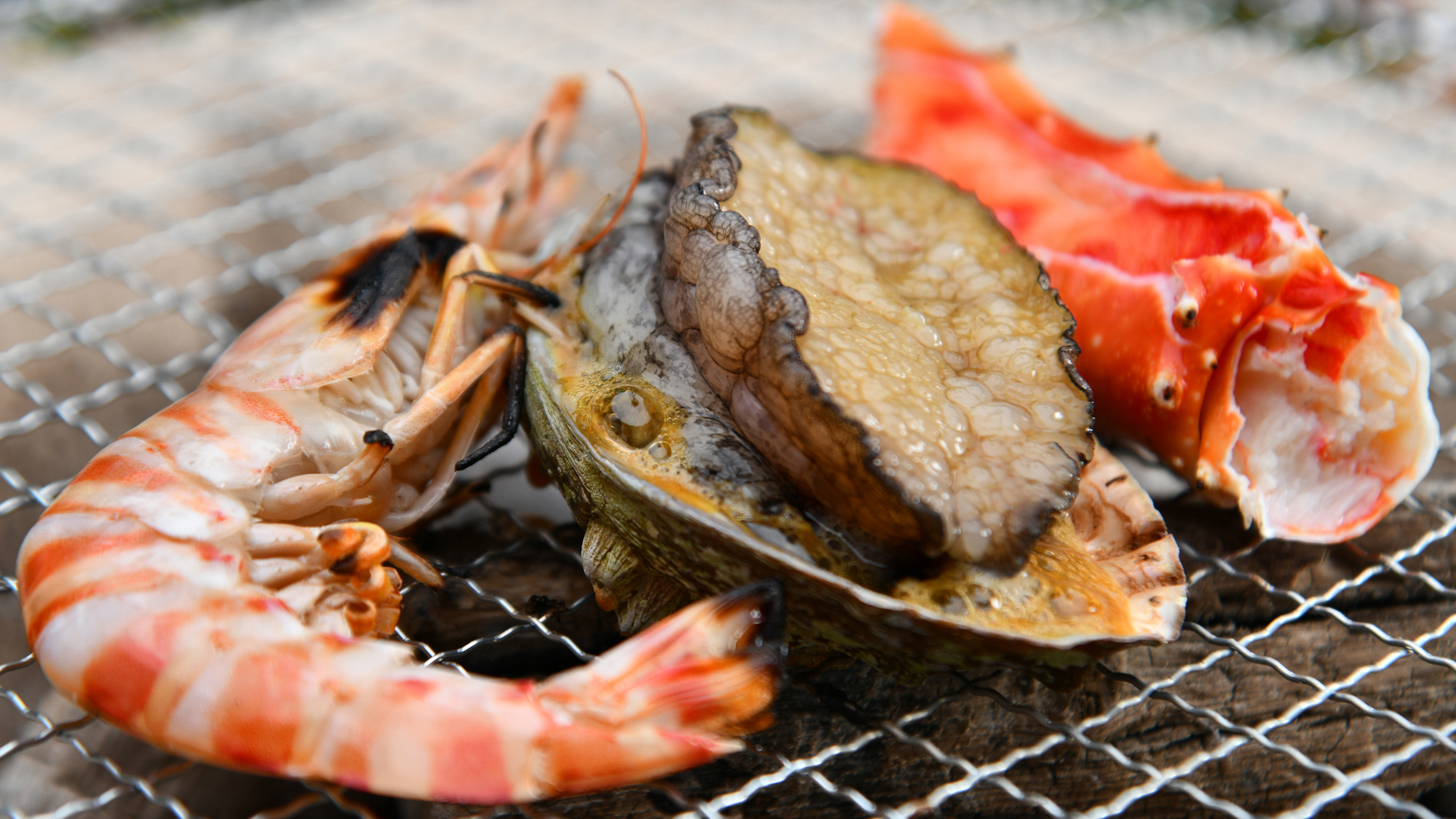 【食事】特選炭火焼会席