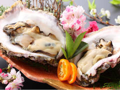 なんと手のひらサイズ ！濃厚で海のチーズと呼ばれる『天草天領岩牡蠣』プラン天領岩牡蠣2個全料理16品