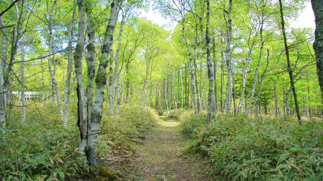 【登山のお客様・健脚なお客様におすすめ】お部屋は階段で4階★シンプル素泊まりプラン
