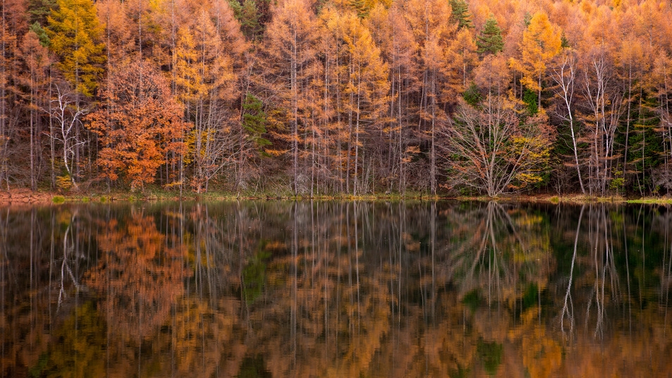 【早割60】冬旅応援プラン★10％OFF（11月〜2月限定）