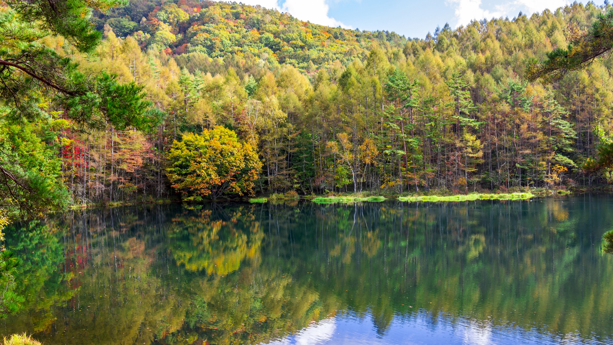 初秋の御射鹿池（10月上旬～中旬）