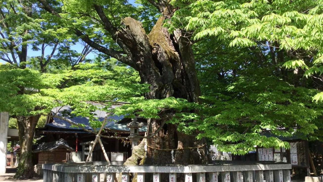 首都圏☆おすすめ【素泊まり】お部屋はホテルおまかせだからお得★禁煙・喫煙はお選びいただけます♪