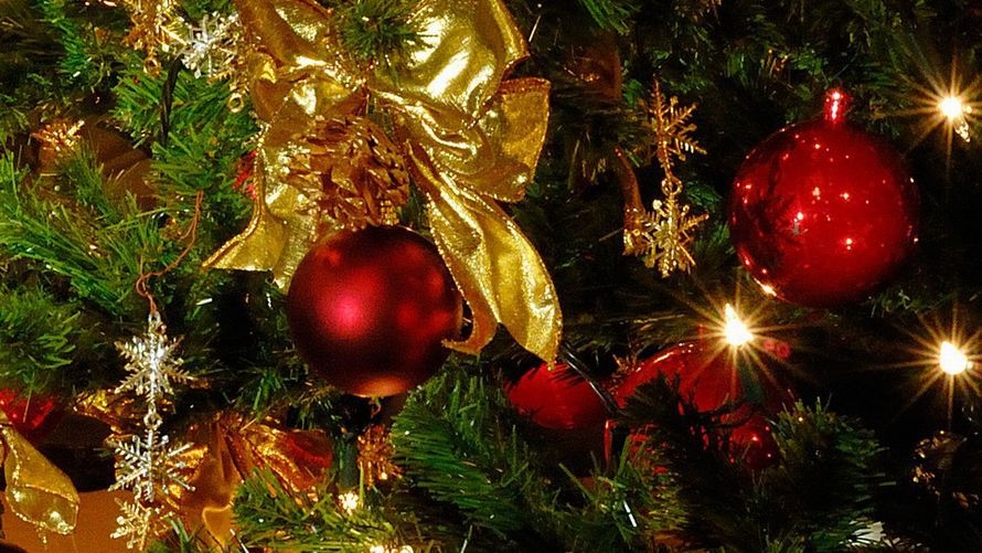 シーサイドホテルで愉しむクリスマス特別ディナー♪大切な方と過ごす聖なる夜に (夕朝食付き)