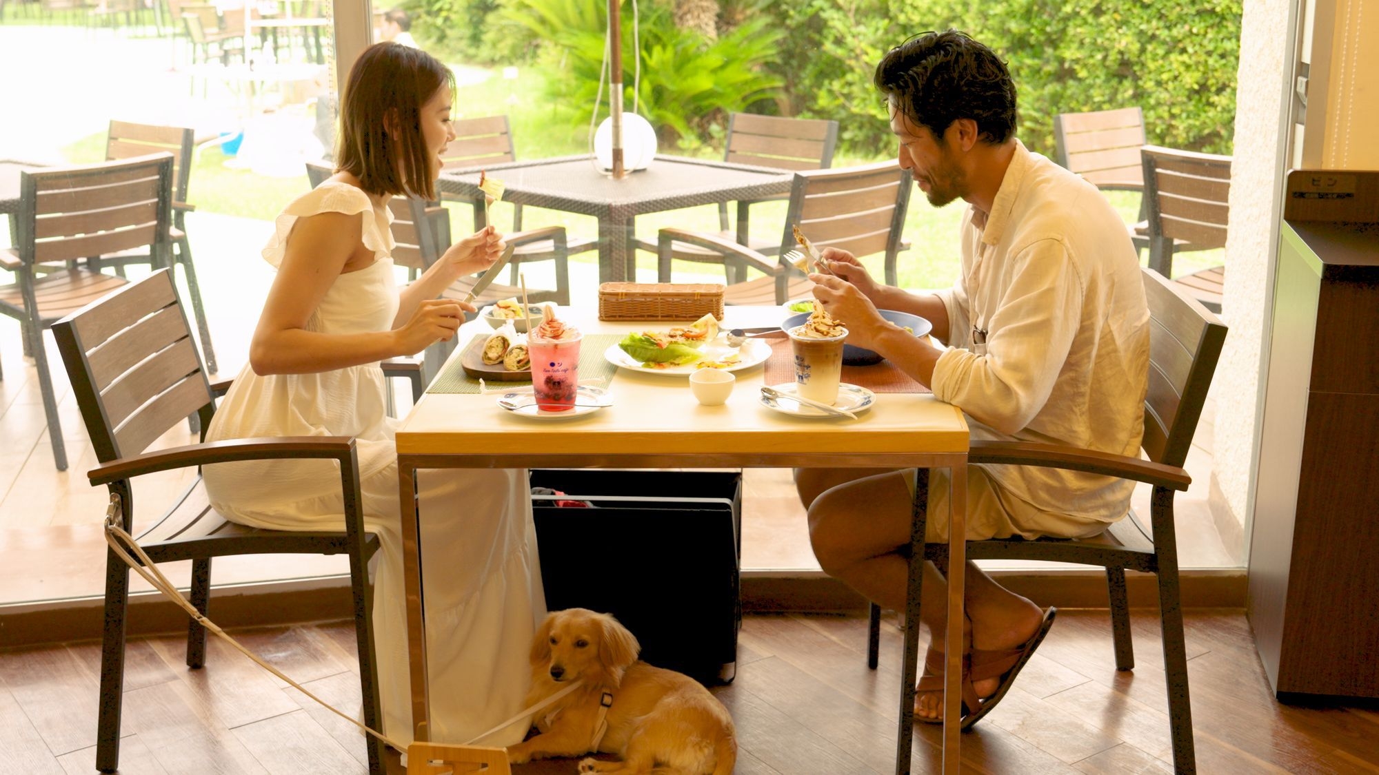 愛犬と旅するビーチリゾート〜ワンちゃんと一緒にお泊り！【大型犬もOK】（朝食付き）