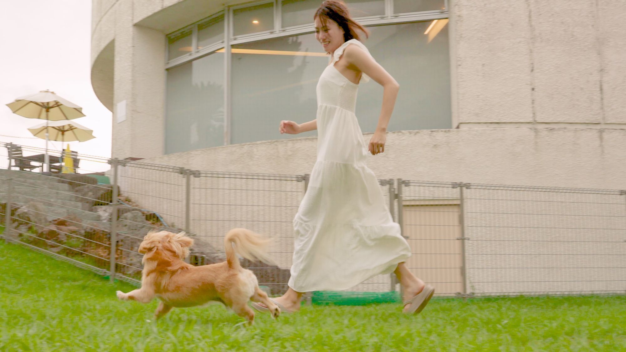 愛犬と旅するビーチリゾート〜ワンちゃんと一緒にゆったりお泊り！【大型犬もOK】（夕朝食付き）