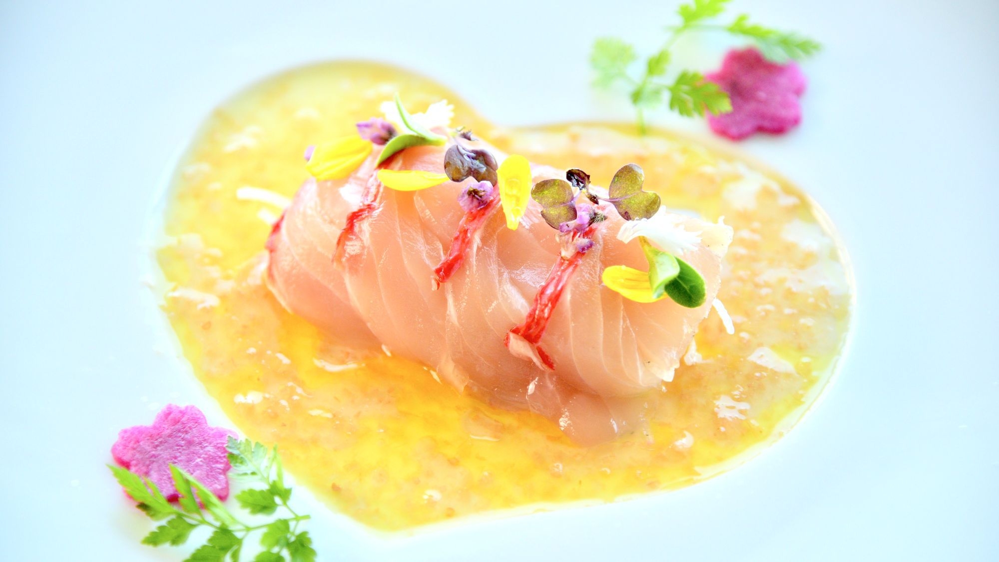 伊豆の海からの厳選食材！リーズナブルな和洋折衷コース（夕朝食付き）