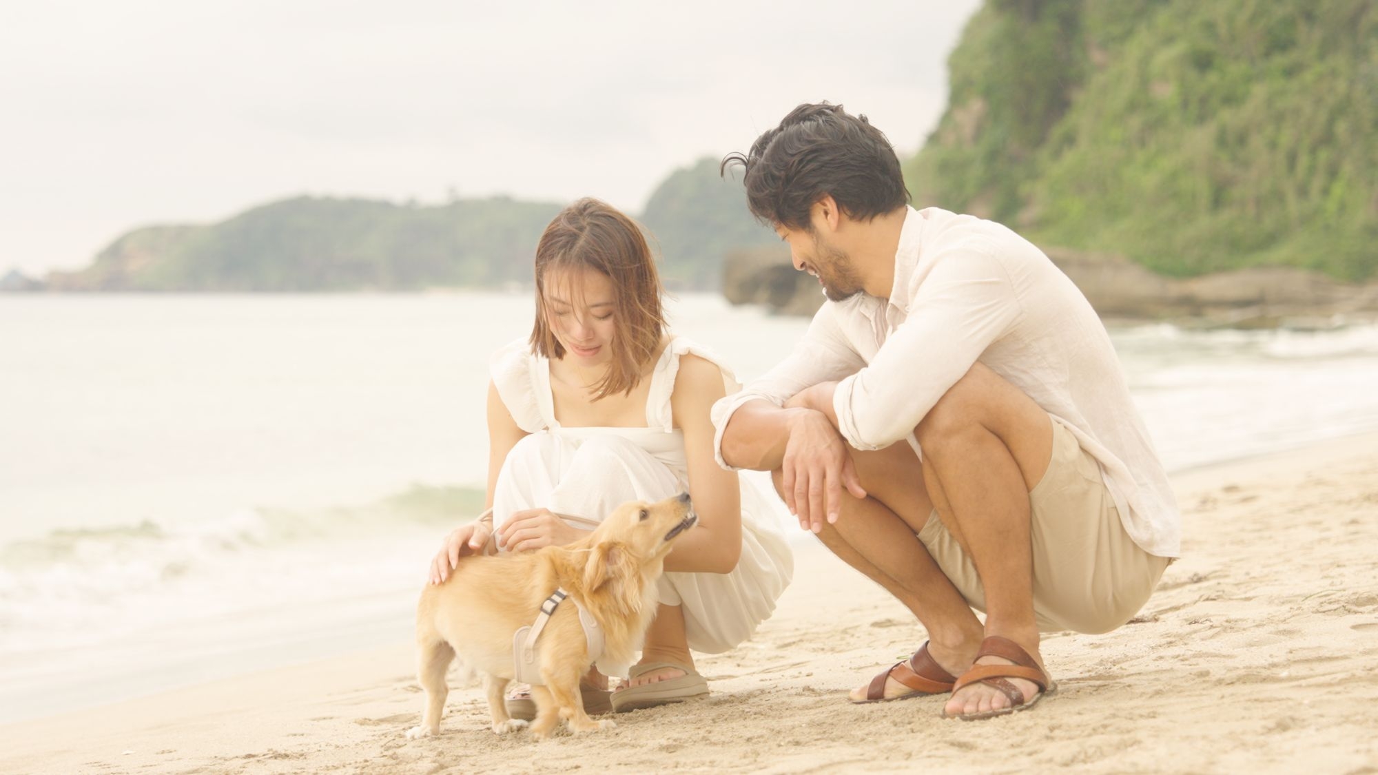愛犬と旅するビーチリゾート〜ワンちゃんと一緒にゆったりお泊り！【大型犬もOK】（夕朝食付き）