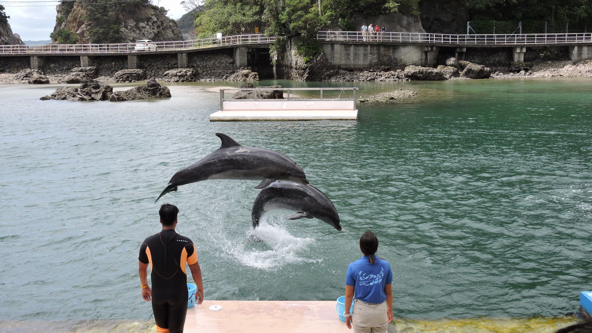 下田海中水族館