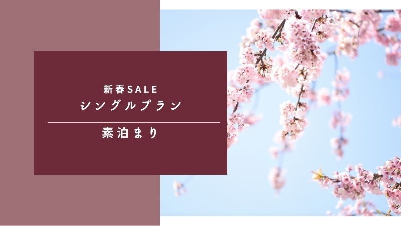 【新春SALE】出張や観光の拠点に★スタンダードプラン｜素泊り