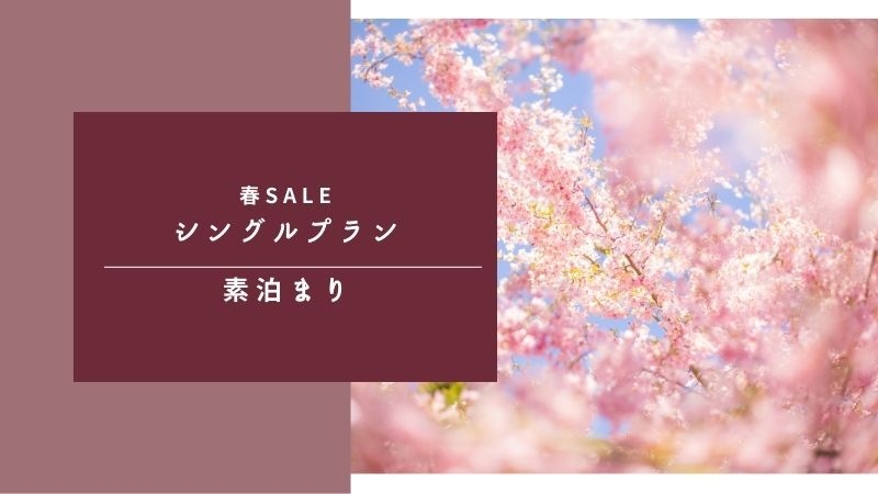 【春SALE】出張や観光の拠点に★スタンダードプラン｜素泊り