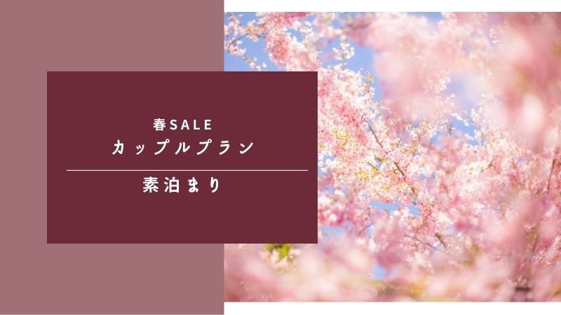 【春SALE】観光・レジャーの拠点に★カップルプラン｜素泊り