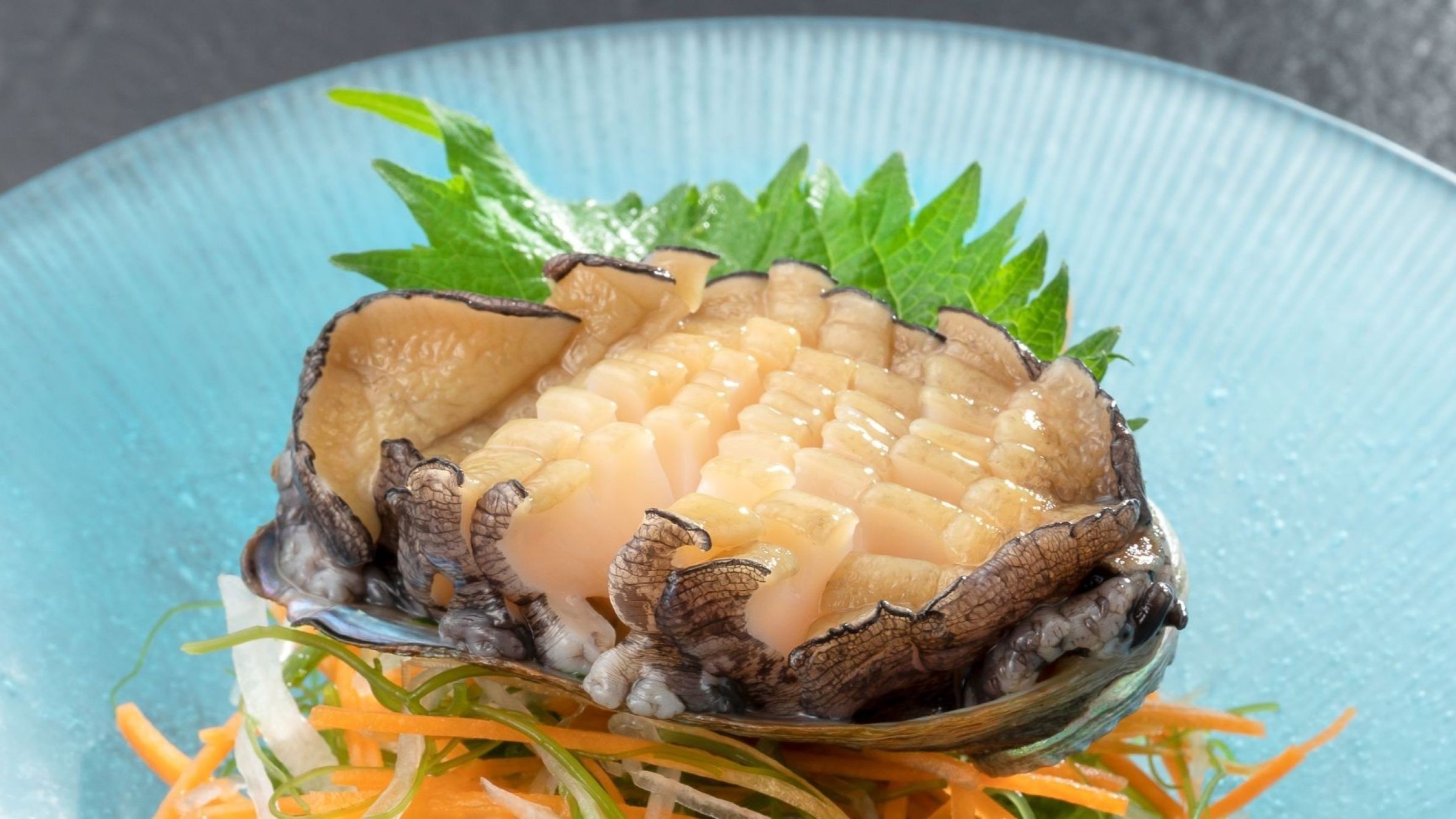 【活鮑刺し】×【美食懐石】　四季の食材を使用した懐石と名湯を堪能