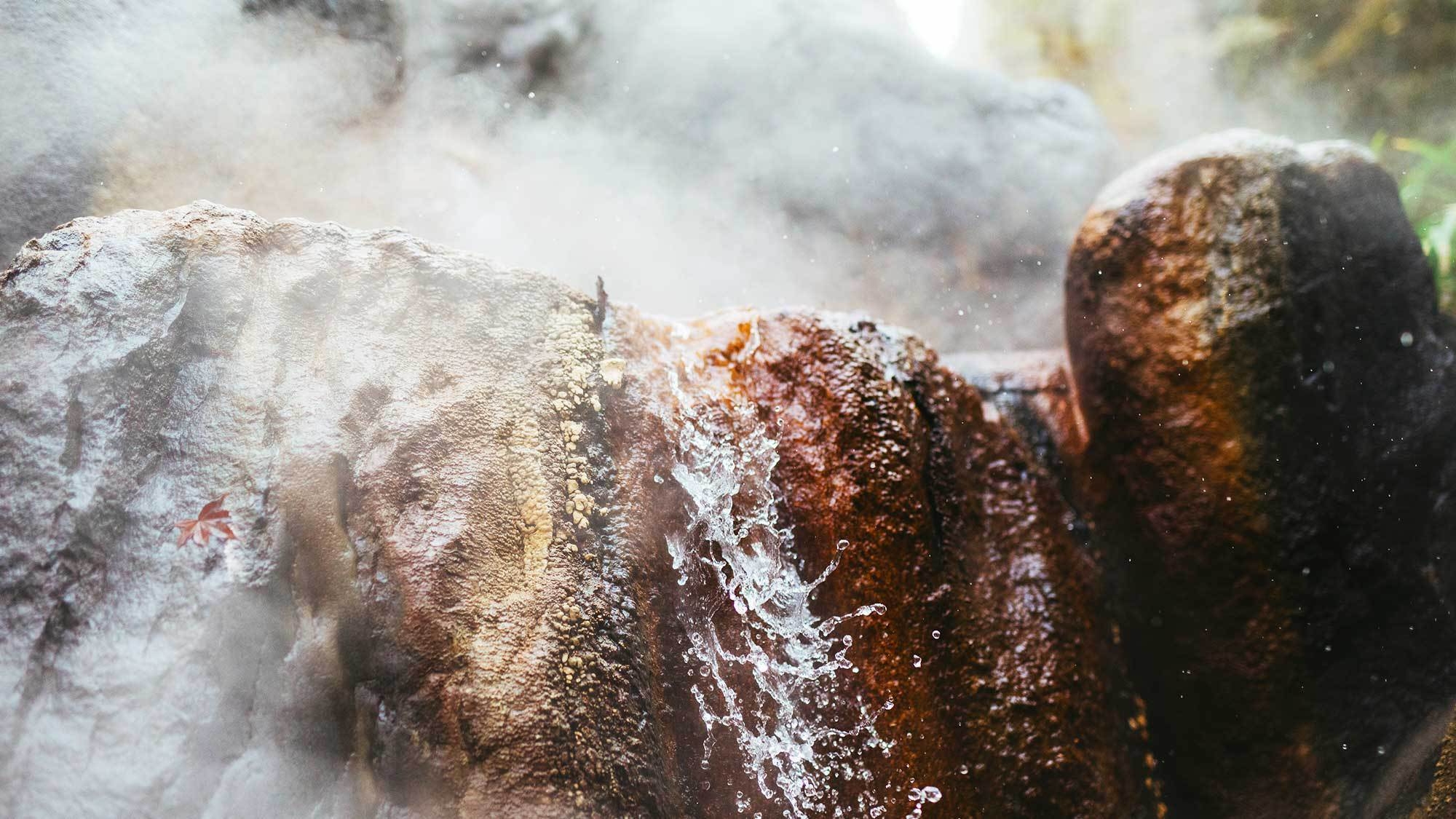 【お日にち限定プラン】日頃の感謝を込めて、室数限定・特別価格でご宿泊いただけます（2食付）