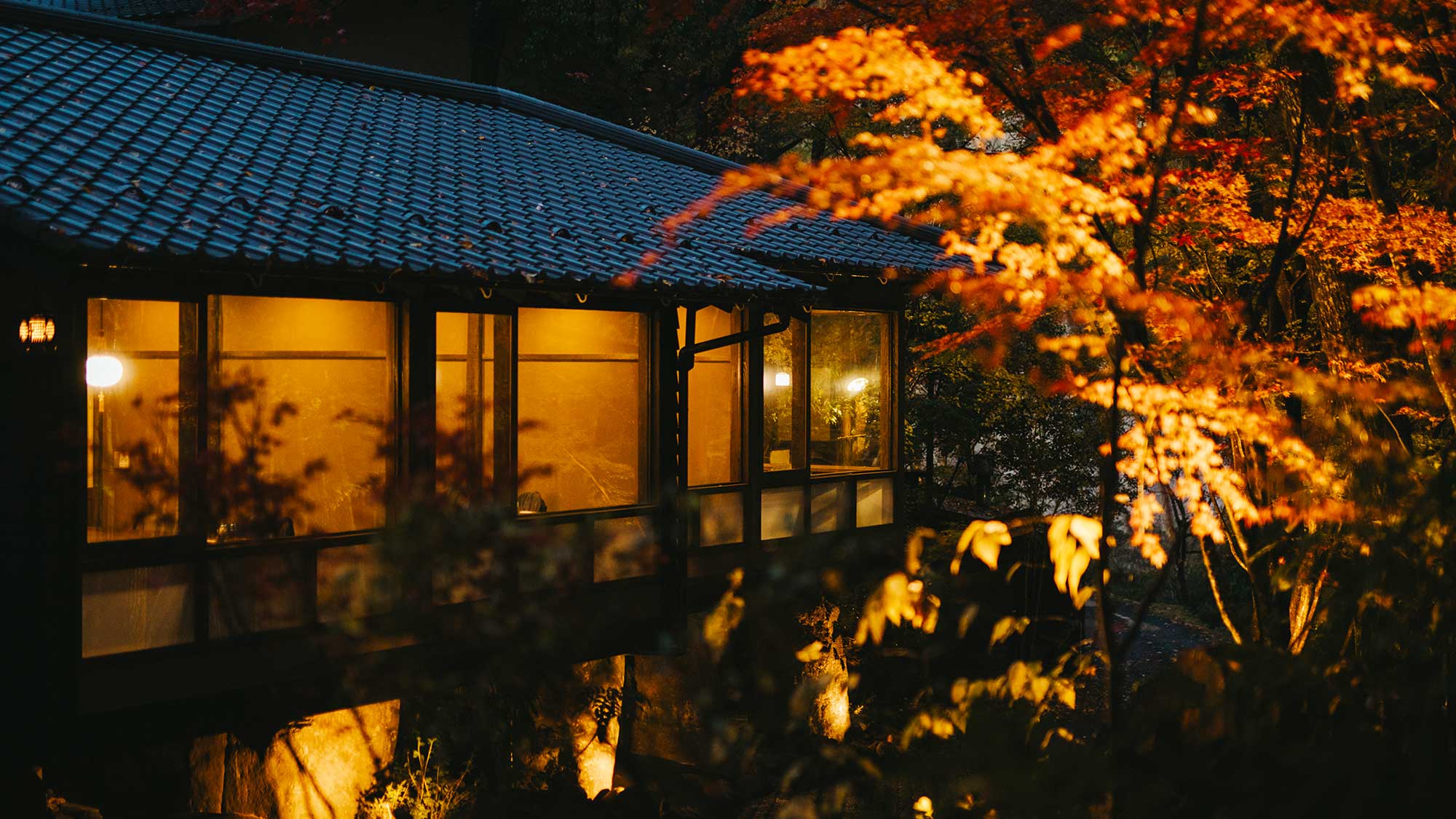 【離れ／通路】夜にはライトアップされた煌めく草木が幻想的な景色を創り出します。