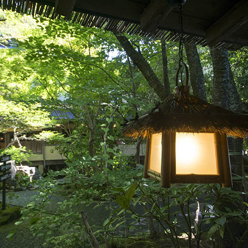 初夏の風景