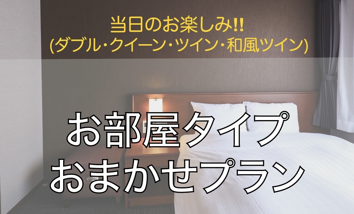 【当日限定】ミステリープラン（朝食付）※部屋指定不可