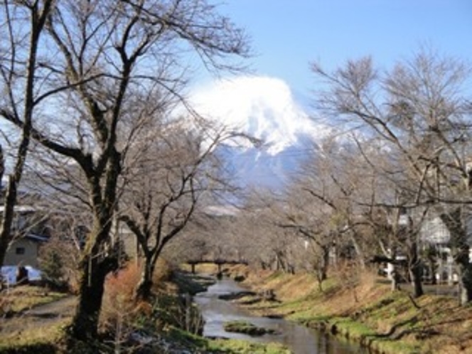 富士山と桂川と桜並木