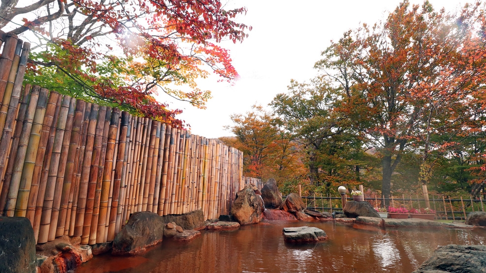【素泊まり】大露天風呂でのんびり温泉浴！満天の星空の下源泉かけ流しの温泉でゆっくりリラックス♪