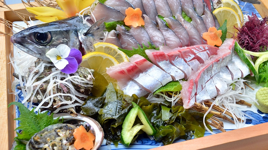 【唐津Qサバ堪能プラン】お魚好き必見！ 高品質な唐津Qサバ+イカの活き造りをご賞味あれ！