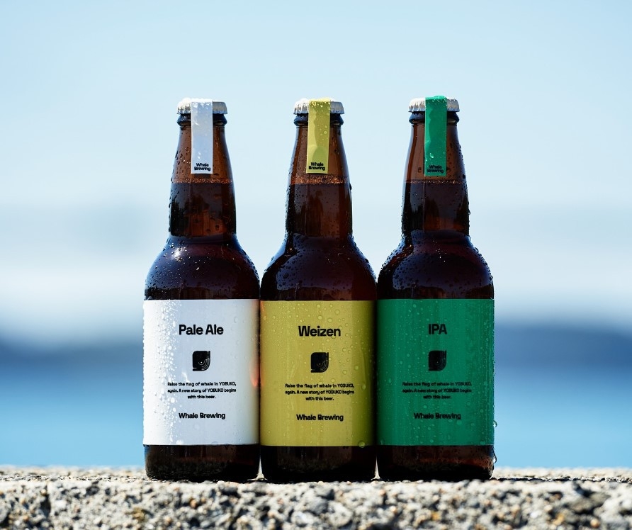 ＼イカに合うビール？！／　呼子の味とホエールブルーイングのビールを楽しむ◆ご夕食はイカ活き造り会席