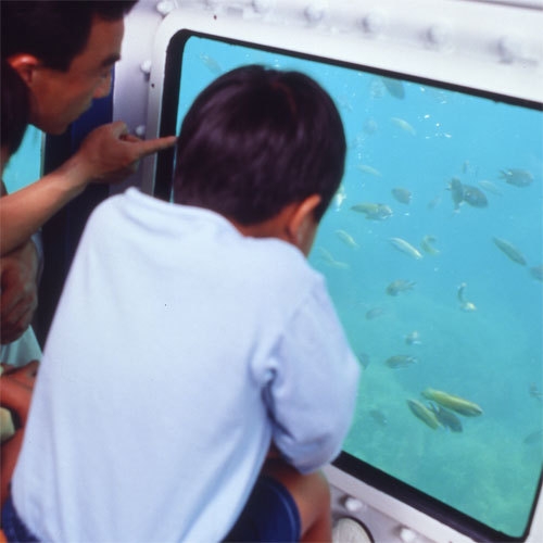 【夏休み家族旅行応援！】子供料金20％OFF＆手持ち花火プレゼント★ファミリープラン／イカ活き造り
