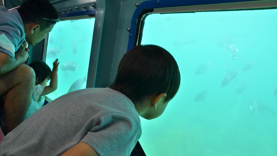 【海中展望船ジーラ】海面下1.2mにいる魚や海の生物の姿を鑑賞できます