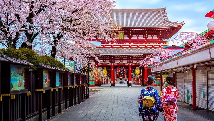 浅草寺／周辺には有名な老舗がたくさん