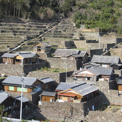 *周辺観光：石垣の里（当館より車で10分）
