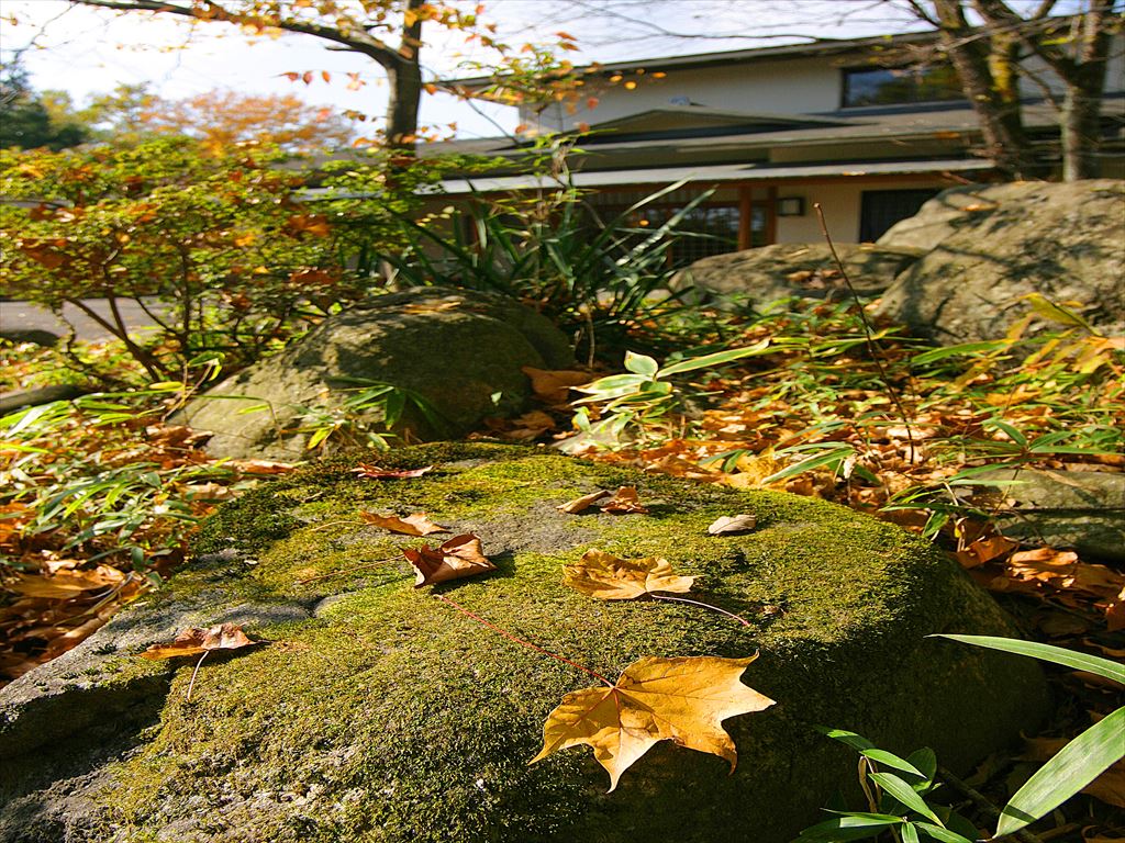 風景