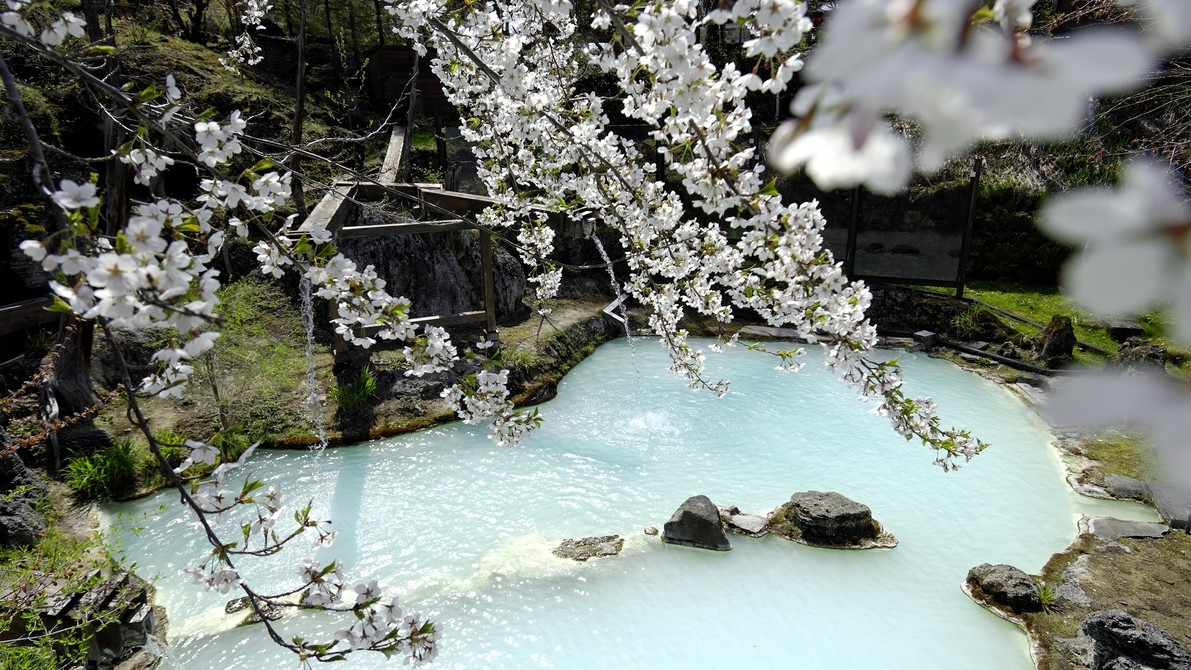 【直前割】2F【萌黄】★お日にち限定特価 ＜泡の湯会席＞選べる石焼料理