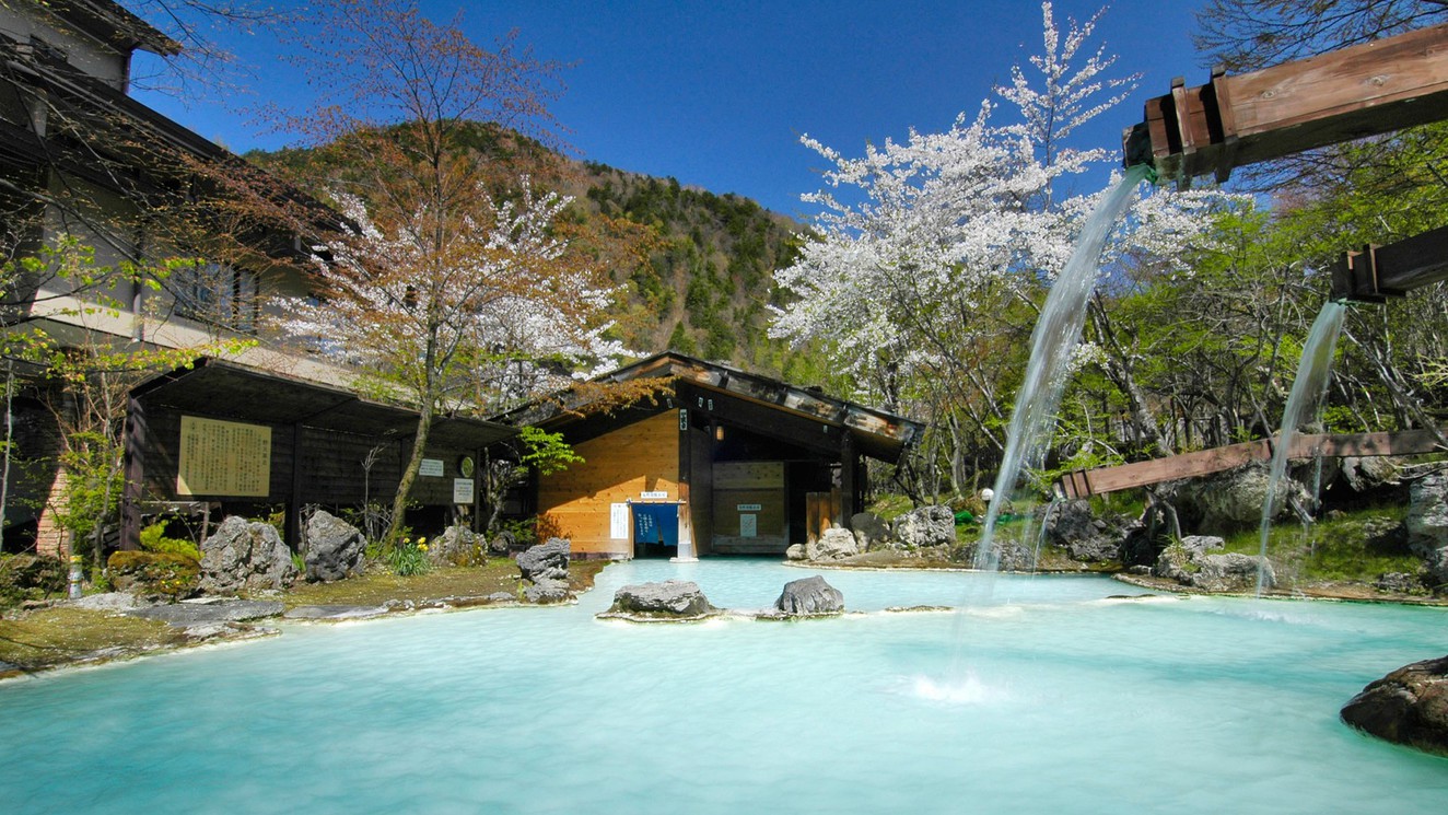 【泡の湯会席】《メインは選べる石焼料理》大自然の中でにごり湯を愉しむ基本プラン