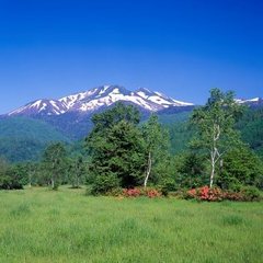 ◇初夏の乗鞍高原から乗鞍岳