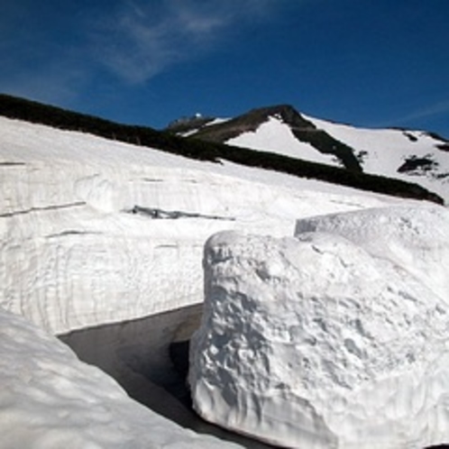 ◇乗鞍岳への道路は雪の壁！
