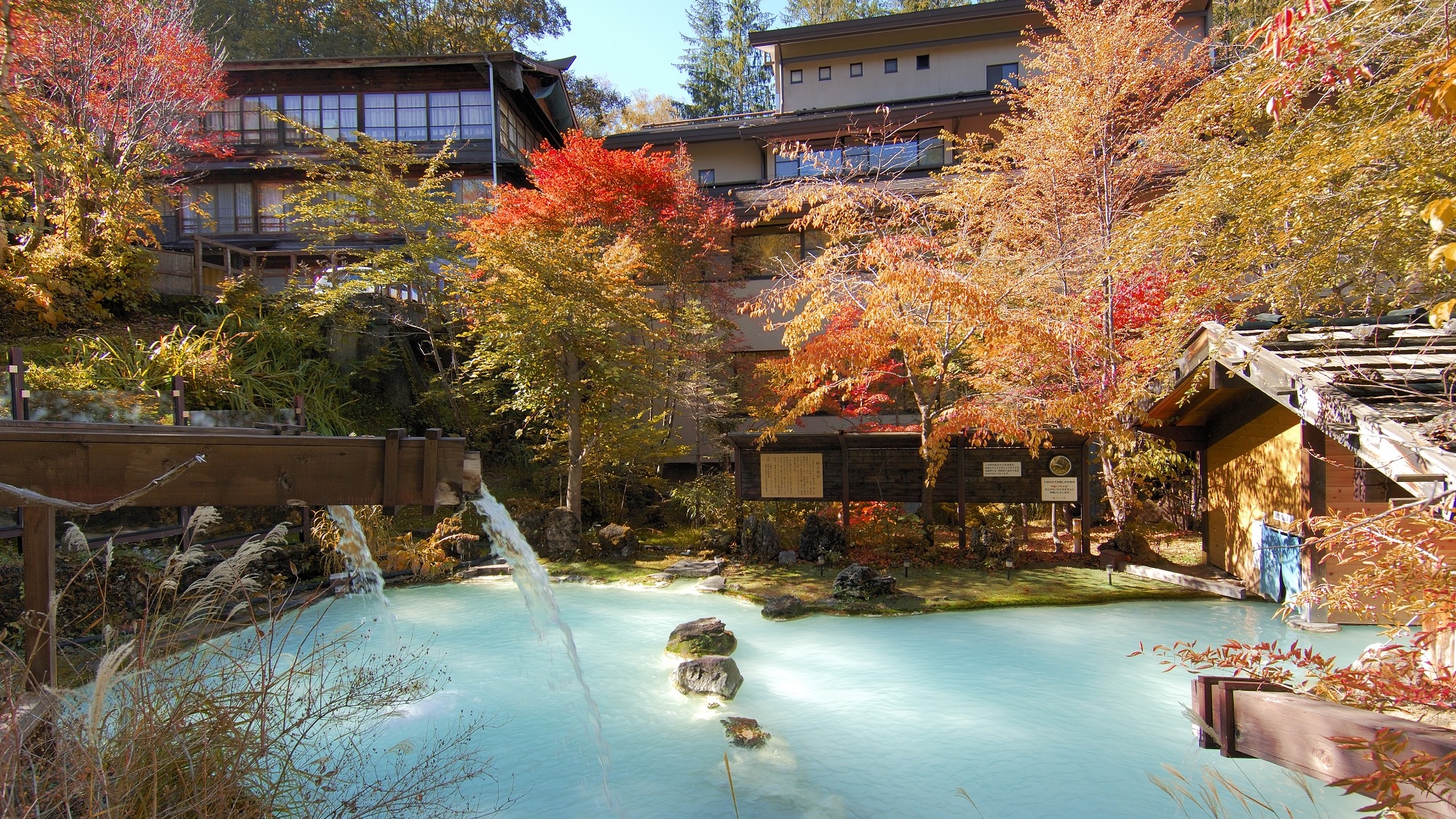 白骨の名湯　泡の湯