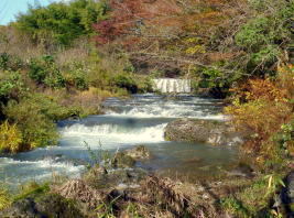 秋　紅葉と溶岩流