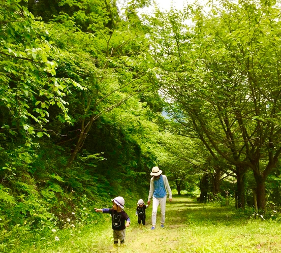 ペンション横の散歩道